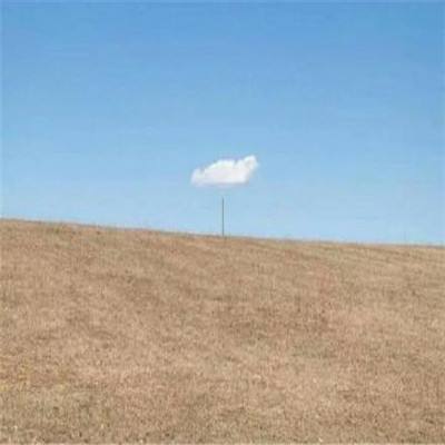 购彩中心welcome官网手机app下载